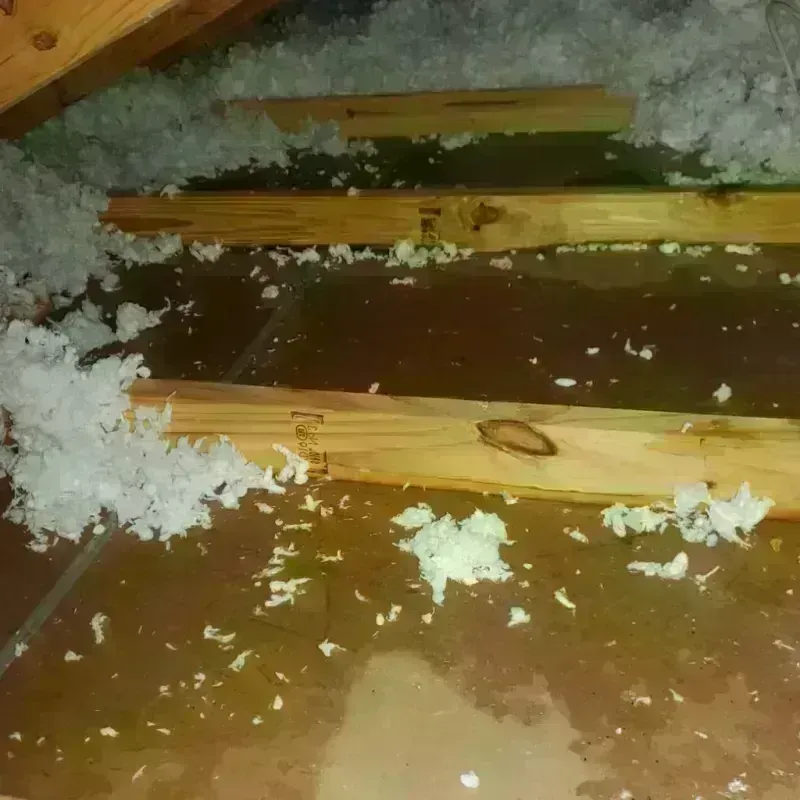 Attic Water Damage in Herculaneum, MO